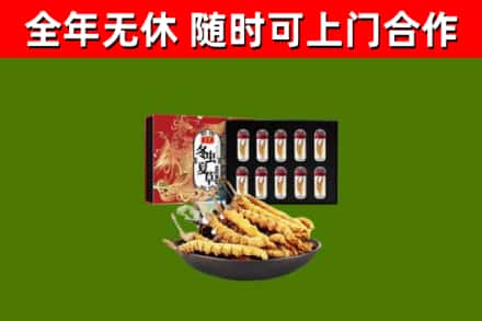 庆元回收冬虫夏草价格